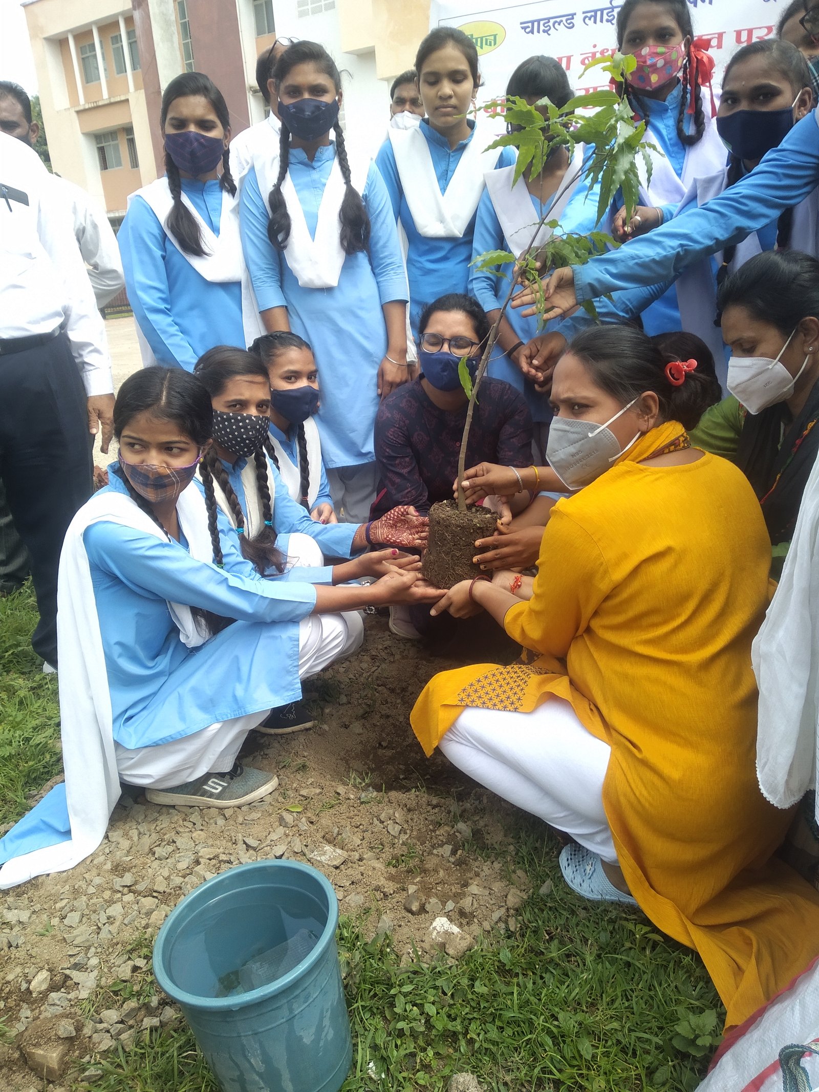 Children and staff planting saplings